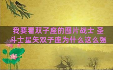 我要看双子座的图片战士 圣斗士星矢双子座为什么这么强